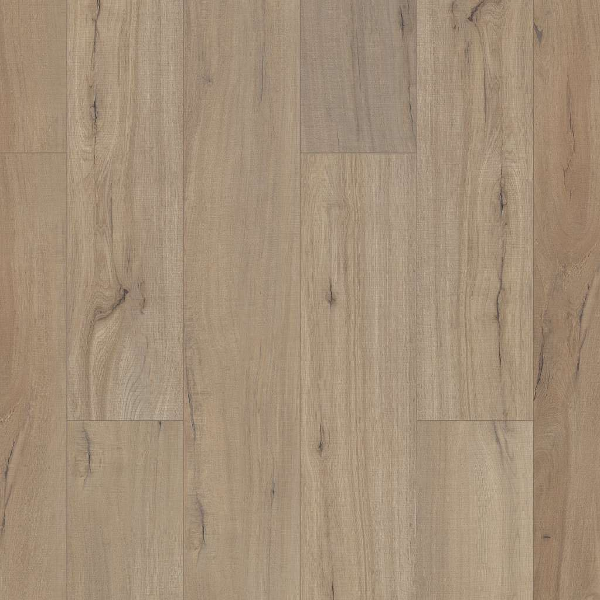 Shaw Luxury Vinyl Paladin Plus Plank Driftwood SHAW