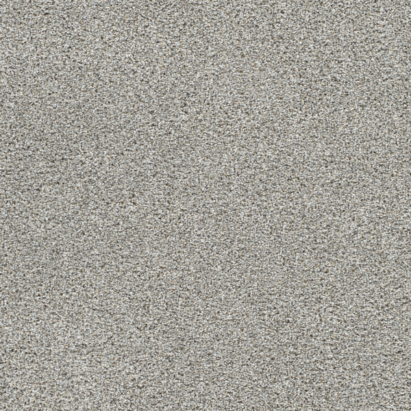 Dreamweaver Carpet Lucky Penny III Breakaway DREAMWEAVER