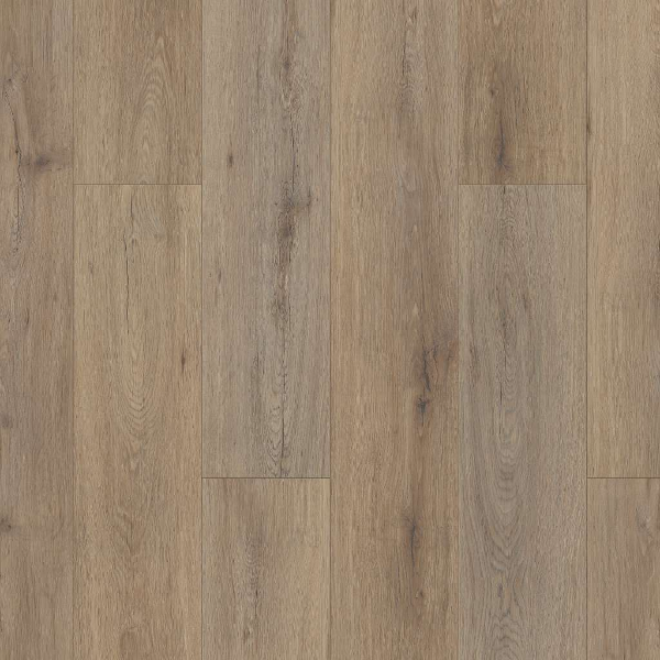 Shaw Luxury Vinyl Paladin Plus Plank Wild Dunes SHAW