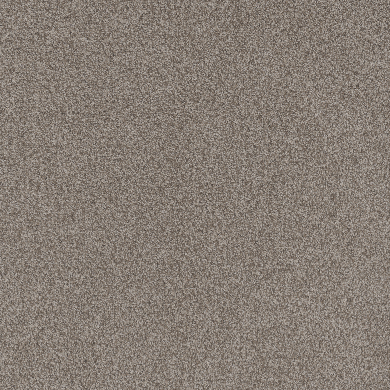 Dreamweaver Carpet Beach Club I Roman DREAMWEAVER