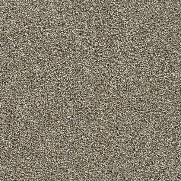 Dreamweaver Carpet Captivating III Rich Walnut DREAMWEAVER