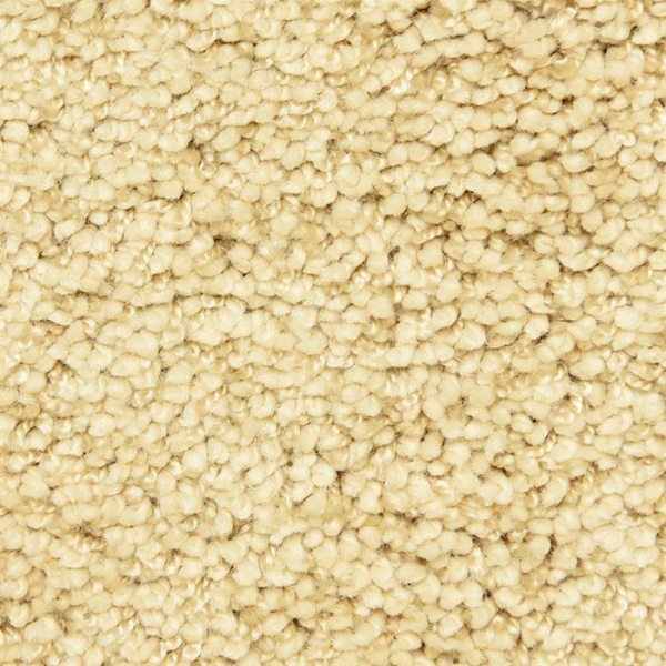 Masland Carpets Shangri-La Too Beautiful Masland