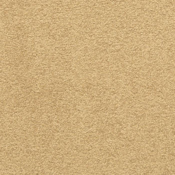 Masland Carpets Patriot Celebrate Masland