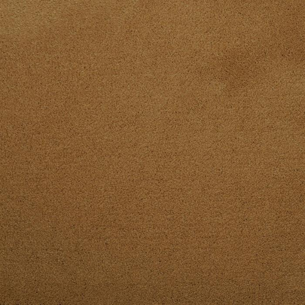 Masland Carpets Silk Touch Sun Catcher Masland