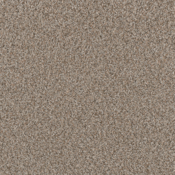 Dreamweaver Carpet Timberline II Iced Frappe DREAMWEAVER