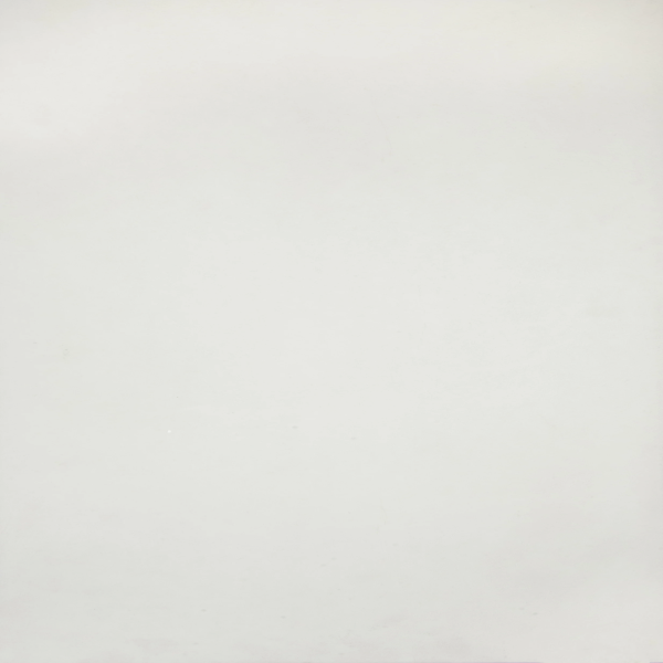 Stanton Decorative Waterproof Flooring Boulevard Snow STANTON