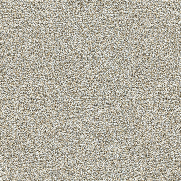 Dreamweaver Carpet Breakview III Jersey DREAMWEAVER