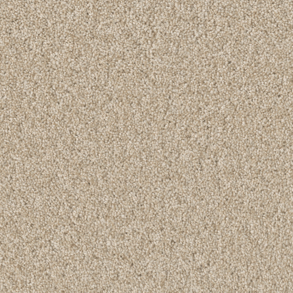 Dreamweaver Carpet Broadcast Plus Light Bisque DREAMWEAVER
