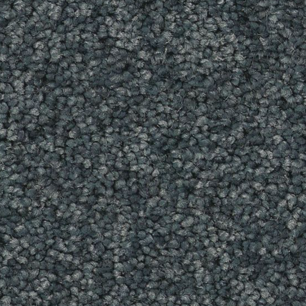 Tuftex Enduring Charm Indigo SHAW