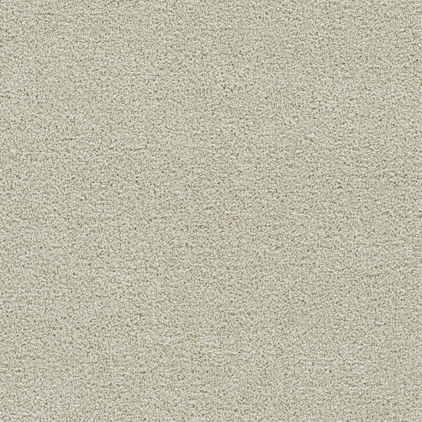 Dreamweaver Carpet Clearwater II Solar Flair DREAMWEAVER