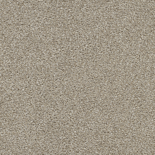 Dreamweaver Carpet Lucky Penny III Woodland DREAMWEAVER
