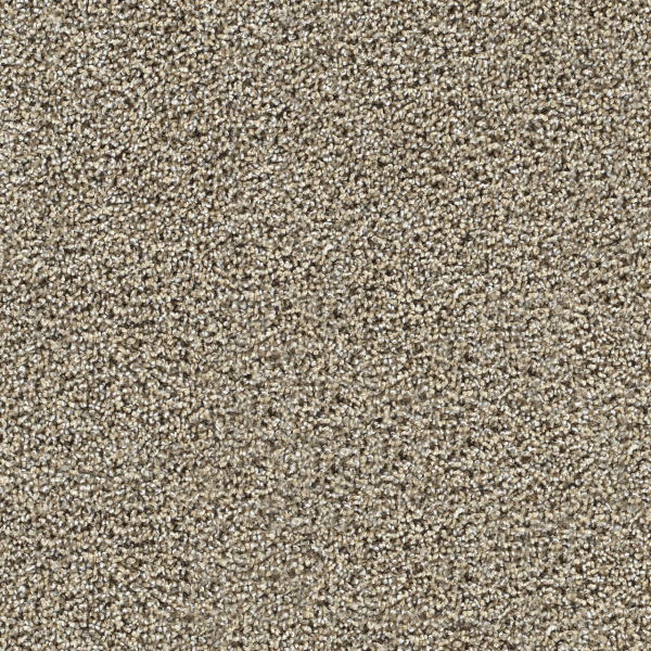 Dreamweaver Carpet Captivating I Pine Log DREAMWEAVER