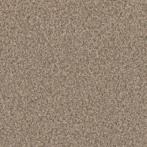 Dreamweaver Carpet Timberline III Sunshine DREAMWEAVER