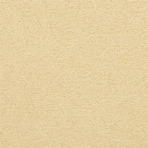 Masland Carpets Patriot Savvey Masland