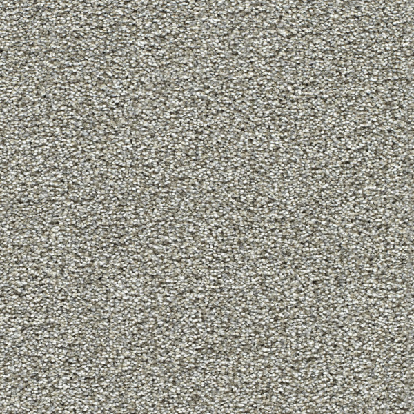 Dreamweaver Carpet Breakview I Ambience DREAMWEAVER