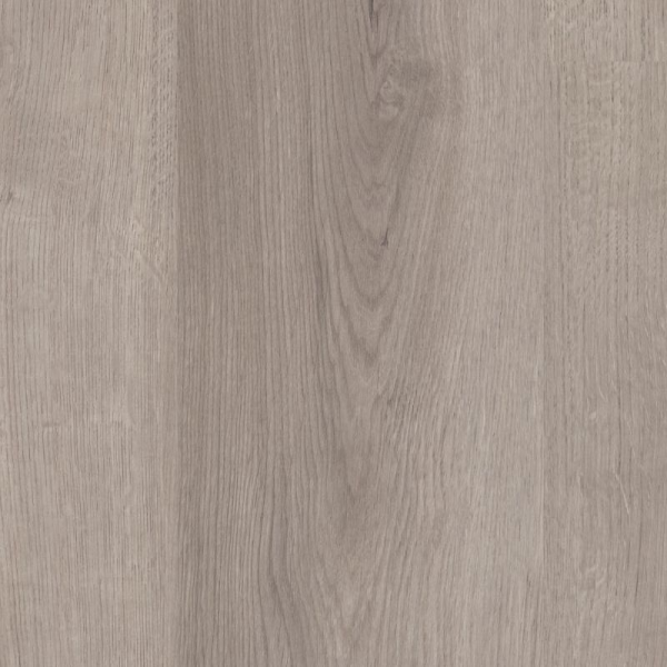 Shaw Laminate Faithful Companion Spangled Silver Shaw