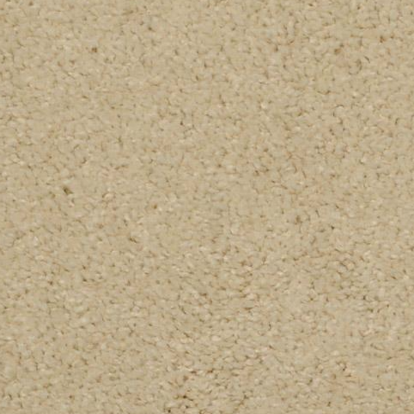 Dixie Home Soft And Silky Lantern Light