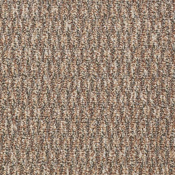 Philadelphia Commercial Speak Freely Direct Dialog Shaw