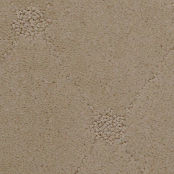 Dixie Home Genteel Sundew