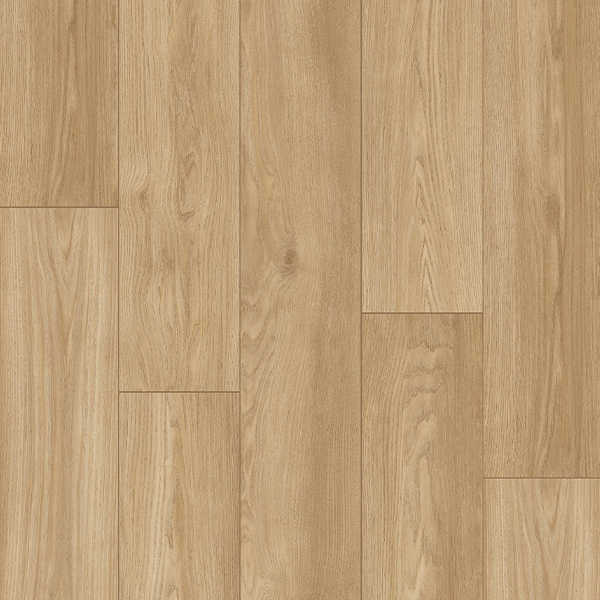 Palmetto Road Laminate Flooring Haven Morning Sunshine PALMETTO ROAD