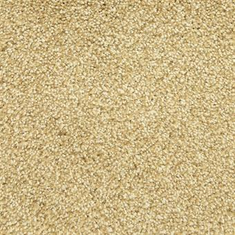 Masland Carpets Delray Reef Masland