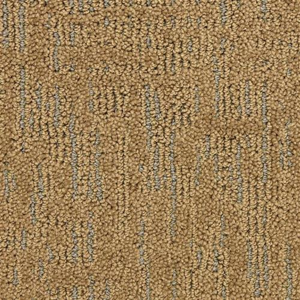 Masland Carpets Nebula Star Masland