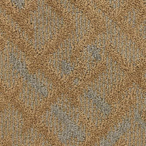 Masland Carpets Orion Star Masland