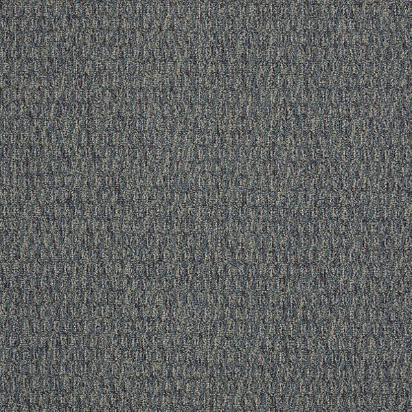 Philadelphia Commercial Speak Freely Real Issues Shaw