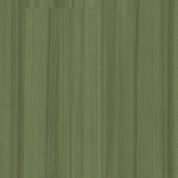 Shaw Luxury Vinyl Color Scope 20 Cactus SHAW