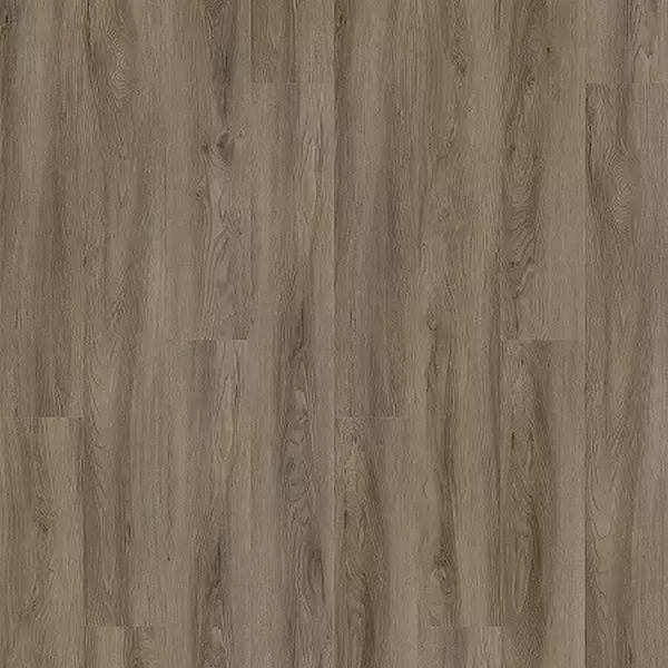 Aladdin Commercial LVT Forest Lawn 2 Portobello MOHAWK LVT