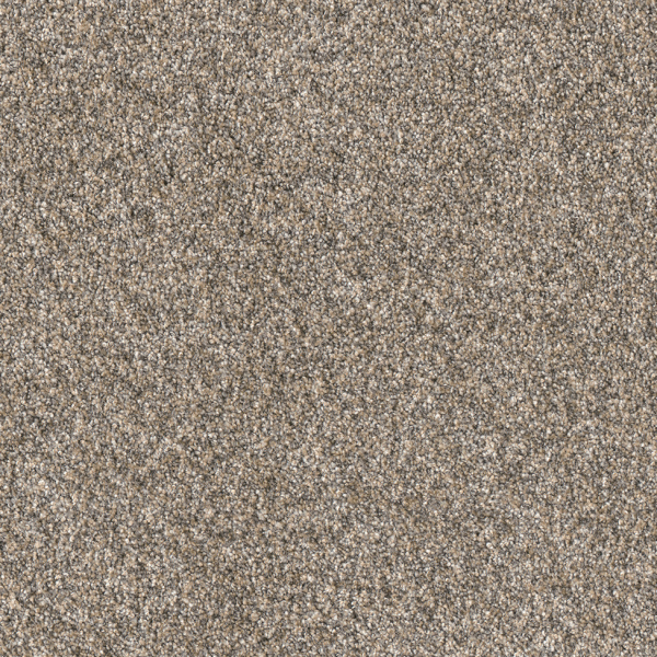 Dreamweaver Carpet Affinity III Spice DREAMWEAVER