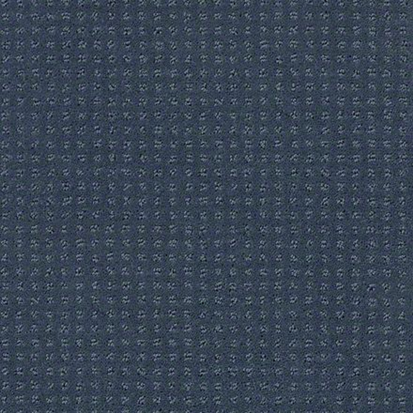 Shaw Floors Alluring Disposition Royal Navy SHAW