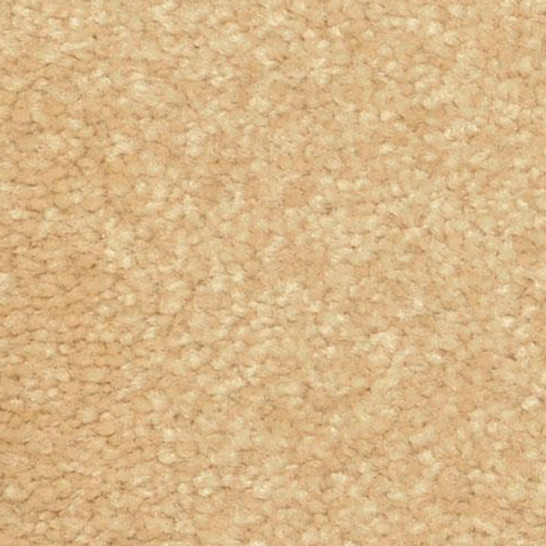 Dixie Home Inspiring Studio