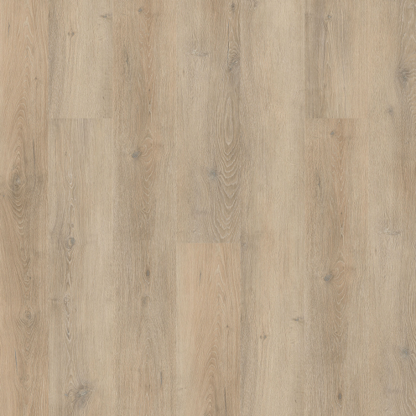 PureGrain by Engineered Floors New Standard Plus Clearwater ENGINEERED FLOORS