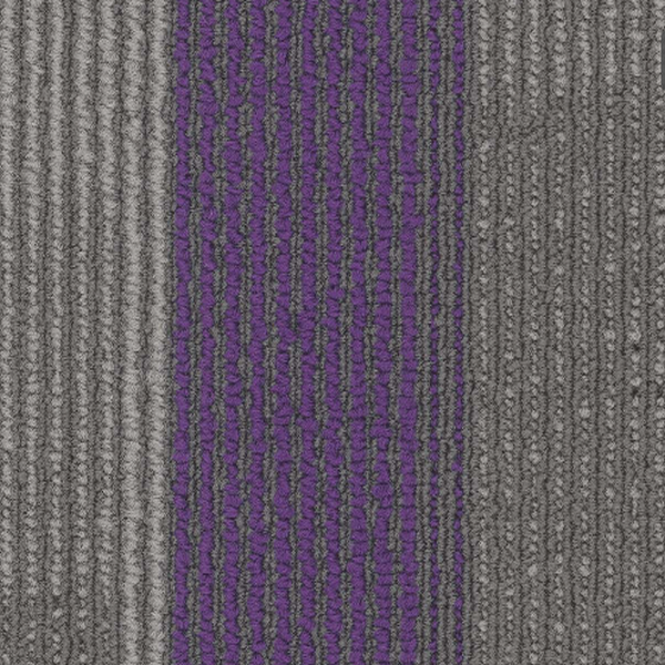Pentz Carpet Tile by Engineered Floors Amplify Plank Royal Purple ENGINEERED FLOORS