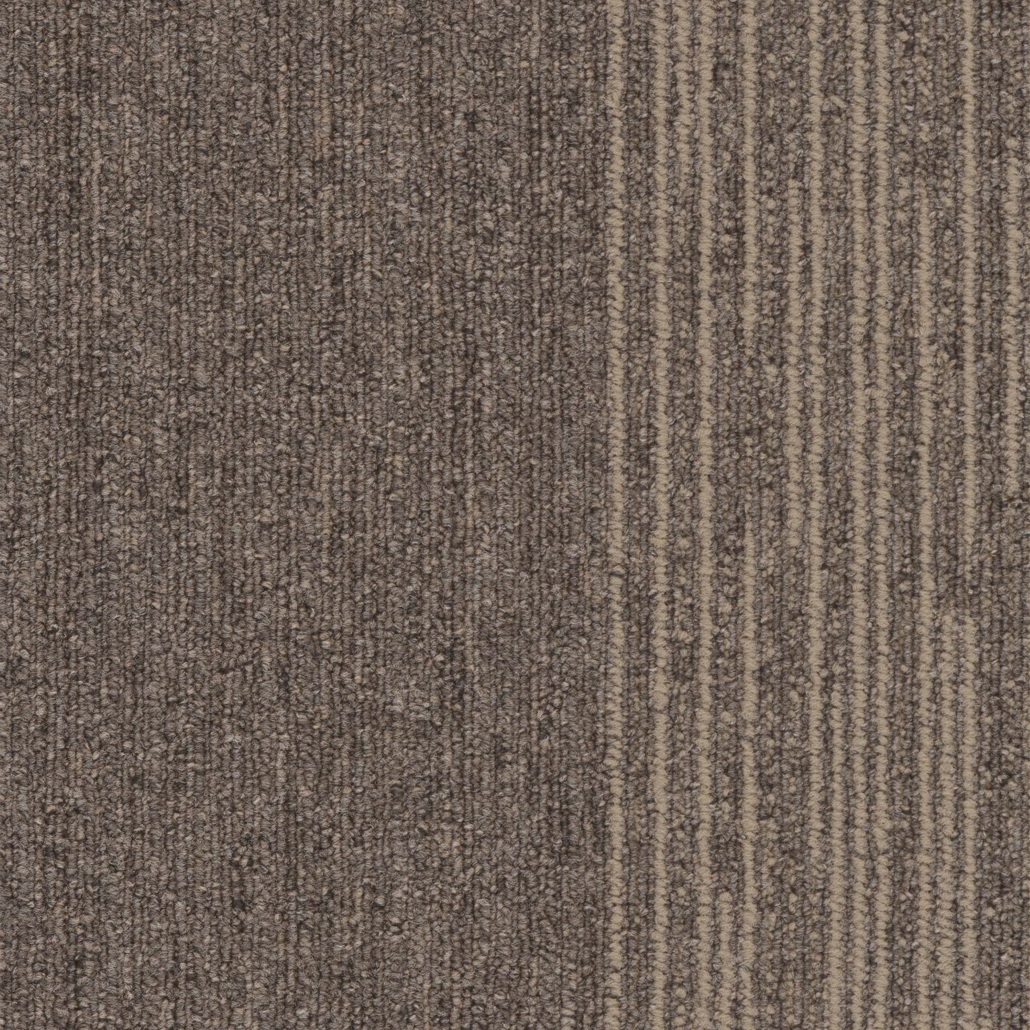 Pentz Carpet Tile by Engineered Floors Cliffhanger Quijotoa ENGINEERED FLOORS