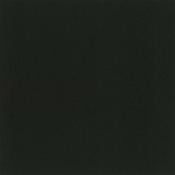 Pentz Carpet Tile by Engineered Floors Colorburst Tile Midnight ENGINEERED FLOORS