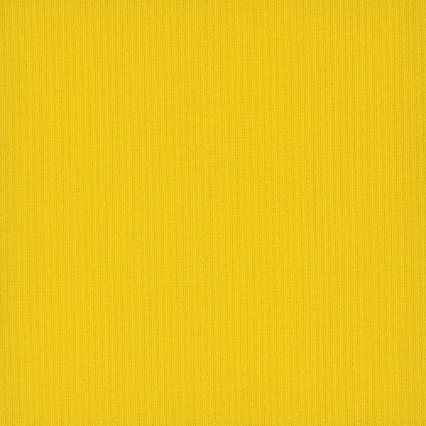 Pentz Carpet Tile by Engineered Floors Colorburst Tile Cyber ENGINEERED FLOORS