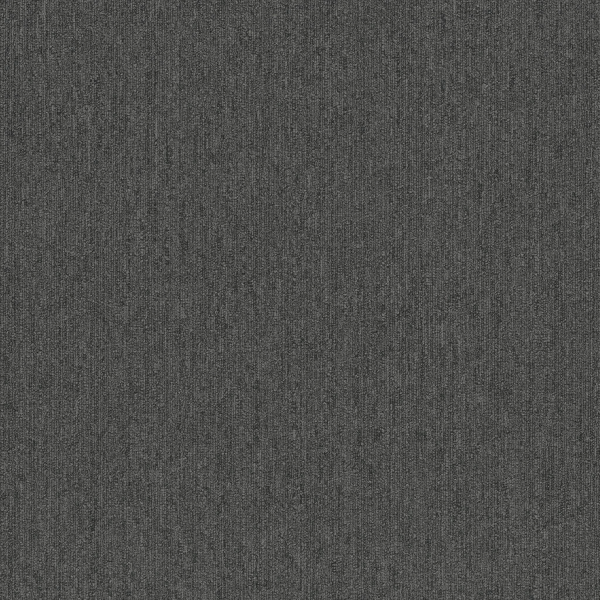 Pentz Carpet Tile by Engineered Floors Colorpoint Plank Iron ENGINEERED FLOORS