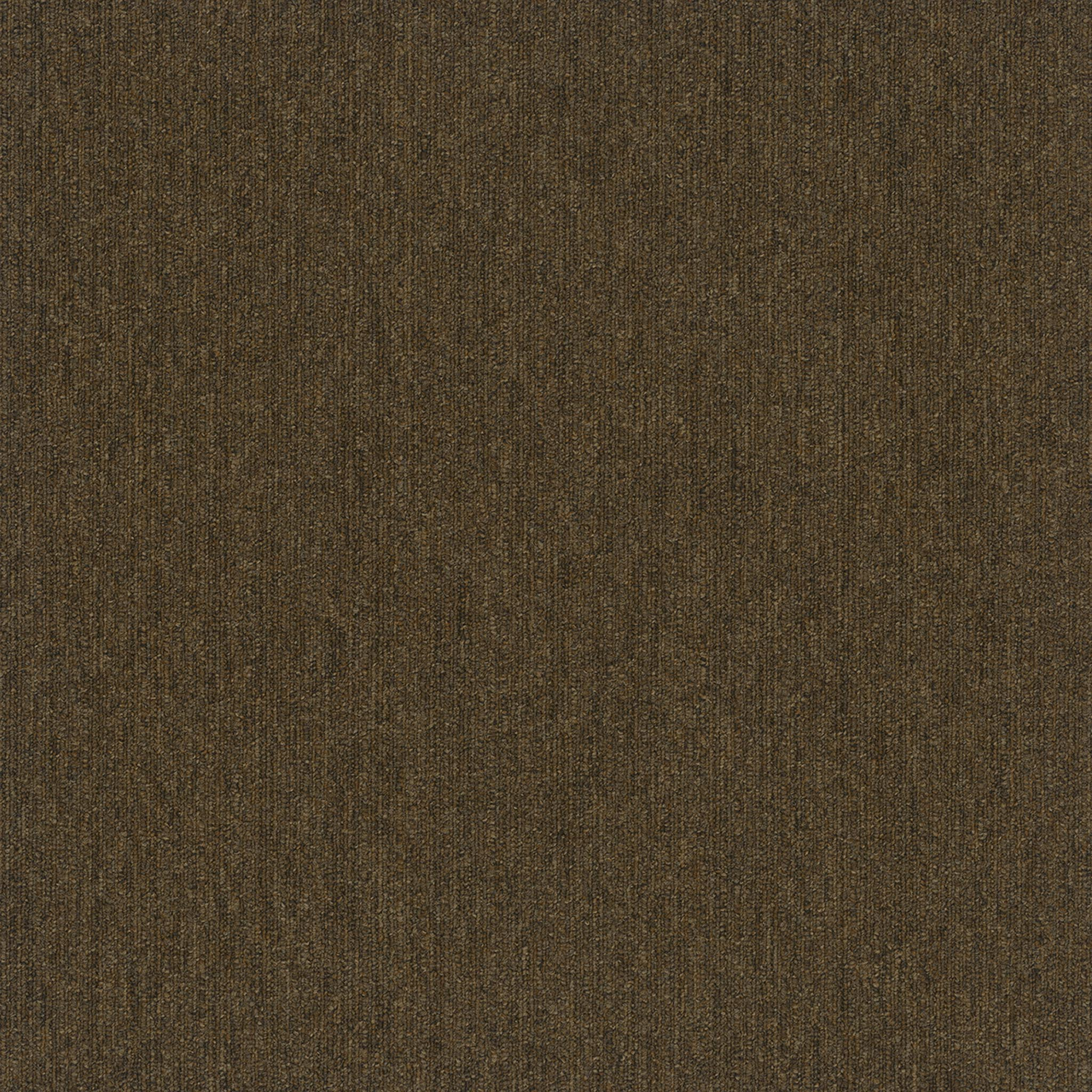 Pentz Carpet Tile by Engineered Floors Colorpoint Tile Hickory ENGINEERED FLOORS