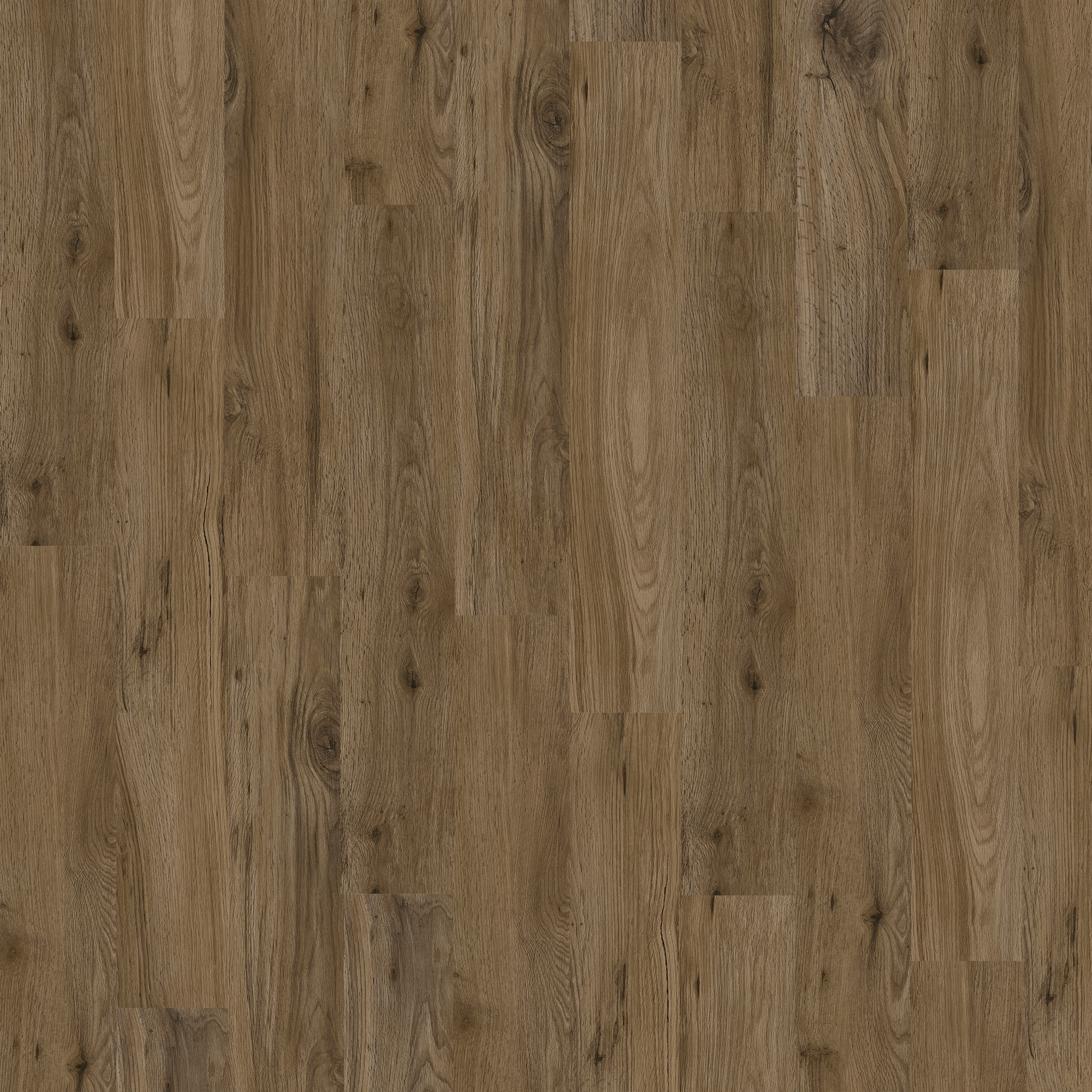 Chesapeake Flooring Luxury Vinyl Devine Bewitched CHESAPEAKE FLOORING
