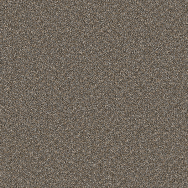 Dreamweaver Carpet Broadcast Plus Field Slate DREAMWEAVER