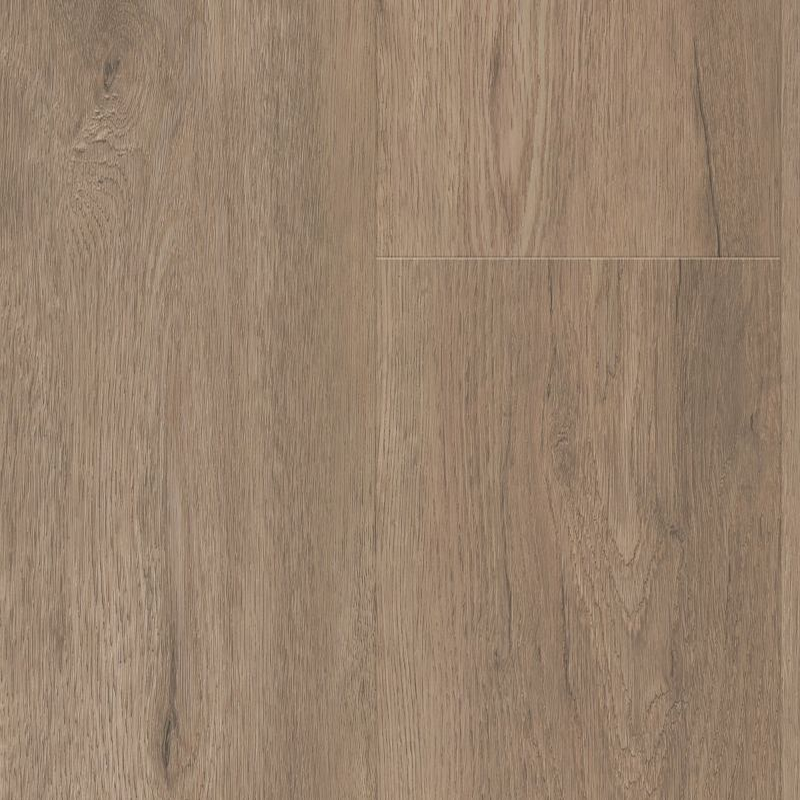 Shaw Luxury Vinyl Paragon HD Plus NATURAL BEVEL Winthrop SHAW