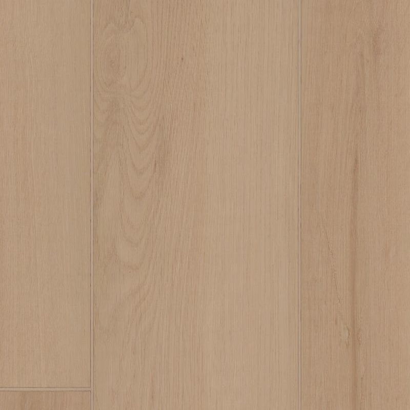 Shaw Luxury Vinyl Ambition Champagne SHAW