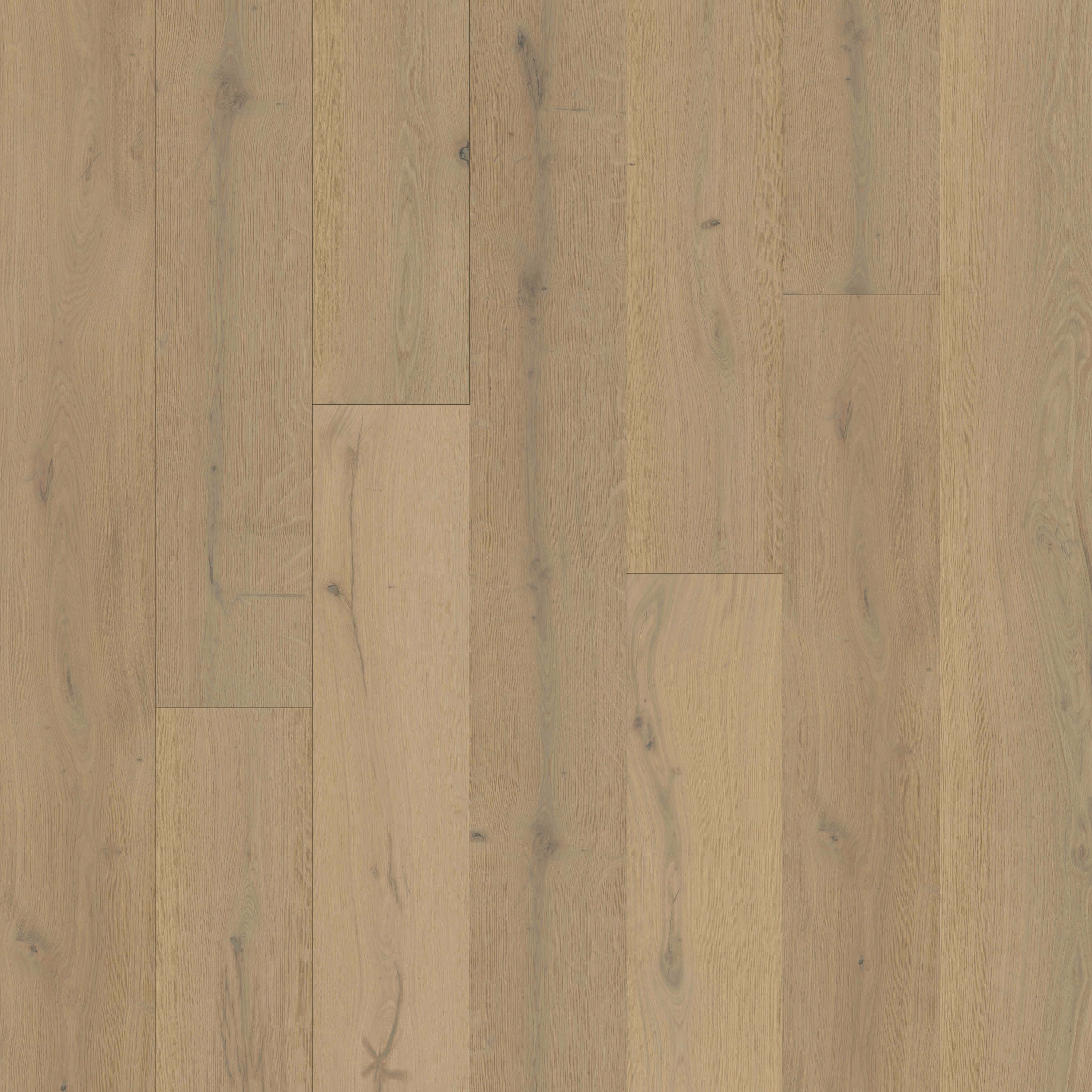 Chesapeake Hardwood Flooring Royal Chalet Winter's Crown CHESAPEAKE FLOORING