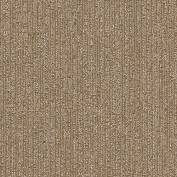 Dreamweaver Carpet Venetian Dune Crest DREAMWEAVER