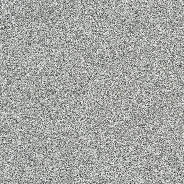 Dreamweaver Carpet Lucky Penny I Niagara DREAMWEAVER