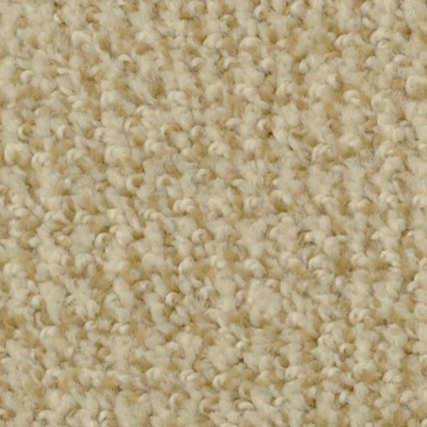 Dixie Home Boston Common Curry