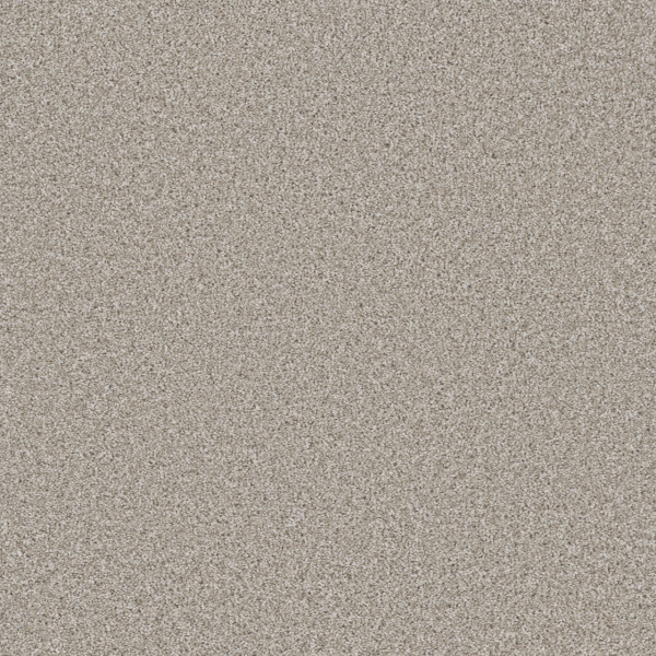 Dreamweaver Carpet Trendsetter I Porcelain DREAMWEAVER