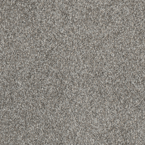 Dreamweaver Carpet Affinity III Moxie DREAMWEAVER